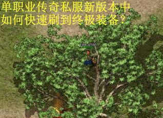 单职业传奇私服新版本中如何快速刷到终极装备？