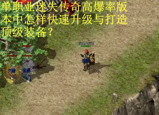 单职业迷失传奇高爆率版本中怎样快速升级与打造顶级装备？