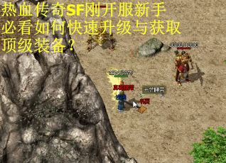 热血传奇SF刚开服新手必看如何快速升级与获取顶级装备？