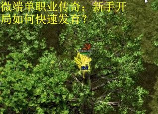 微端单职业传奇：新手开局如何快速发育？