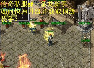 传奇私服sf一条龙新手如何快速升级并获取顶级装备？